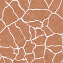 White Veins Orange Marble