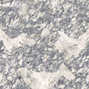 Grey Pavonazzetto Marble