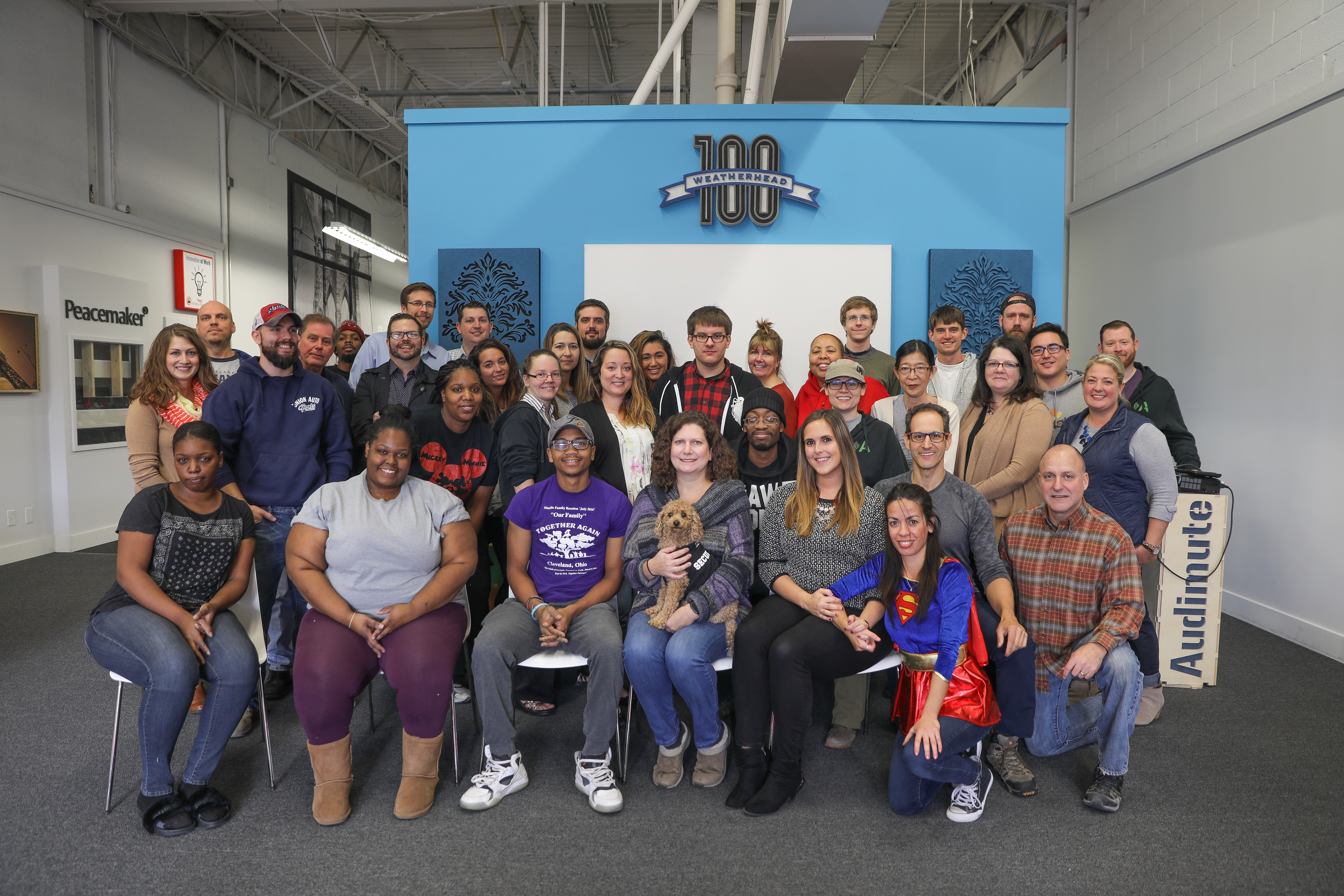 Audimute Soundproofing One Wish LLC