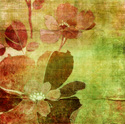 Floral Vintage Flower Art