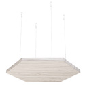Cerused American Elm Accent Cloud
