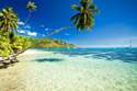 Tropical Landscapes Tropical Beach