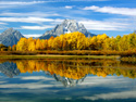 Serene Landscapes Fall Mountain