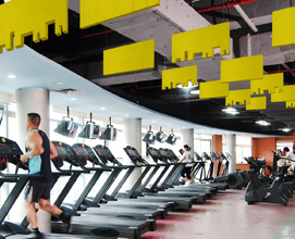 City skyline and wave acoustic baffles