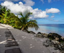 Tropical Landscapes Beach Path